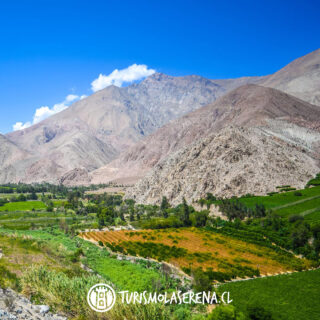 Vista Valle del Elqui - Tour Valle del Elqui