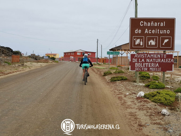 chanaral de aceituno atacama 768x576