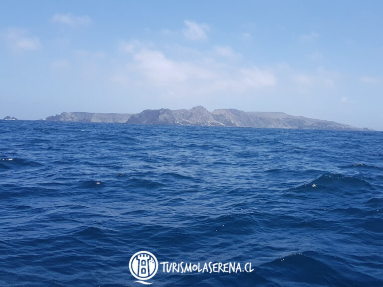 isla chanaral de aceituno 768x576