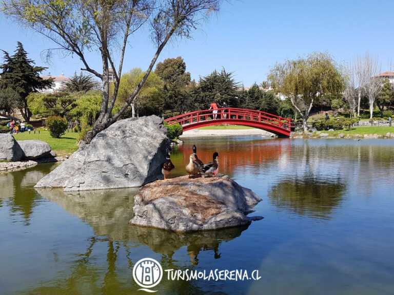 jardin japones la serena 768x576