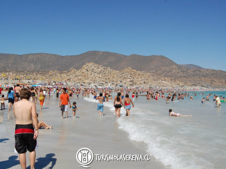 totoralillo playa 768x576