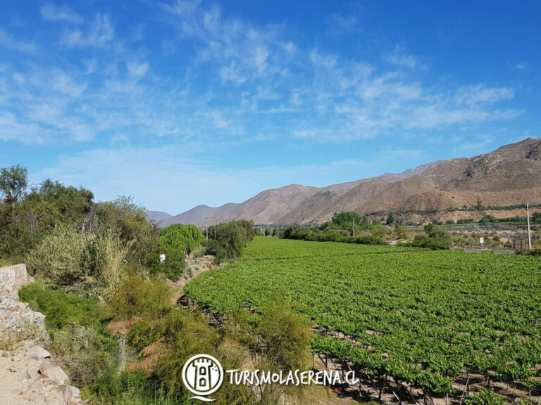 valle del elqui 768x576