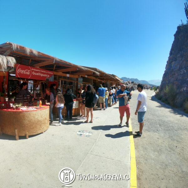 Tour Valle del Elqui - Imagen 4