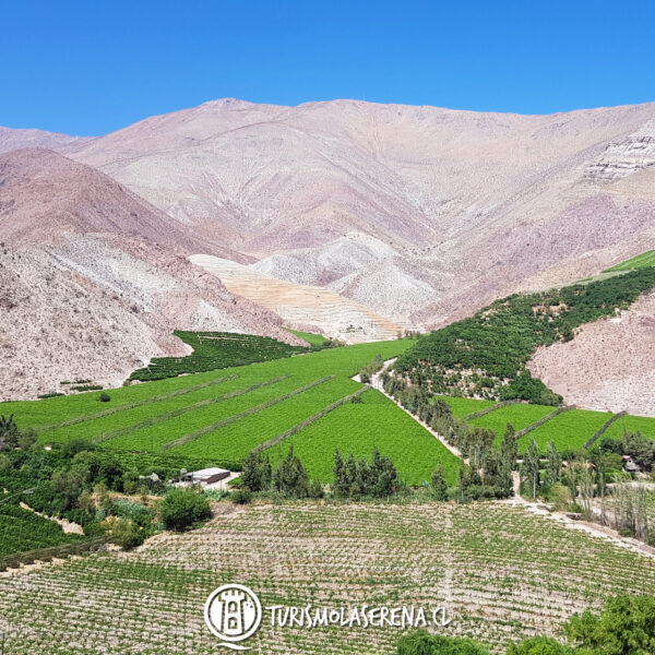 Tour Valle del Elqui - Imagen 5