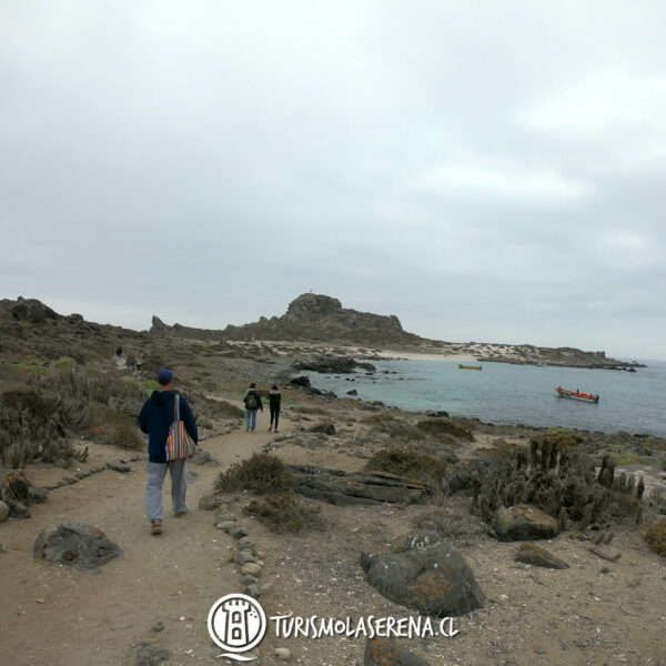 Tour Isla Damas - Imagen 3