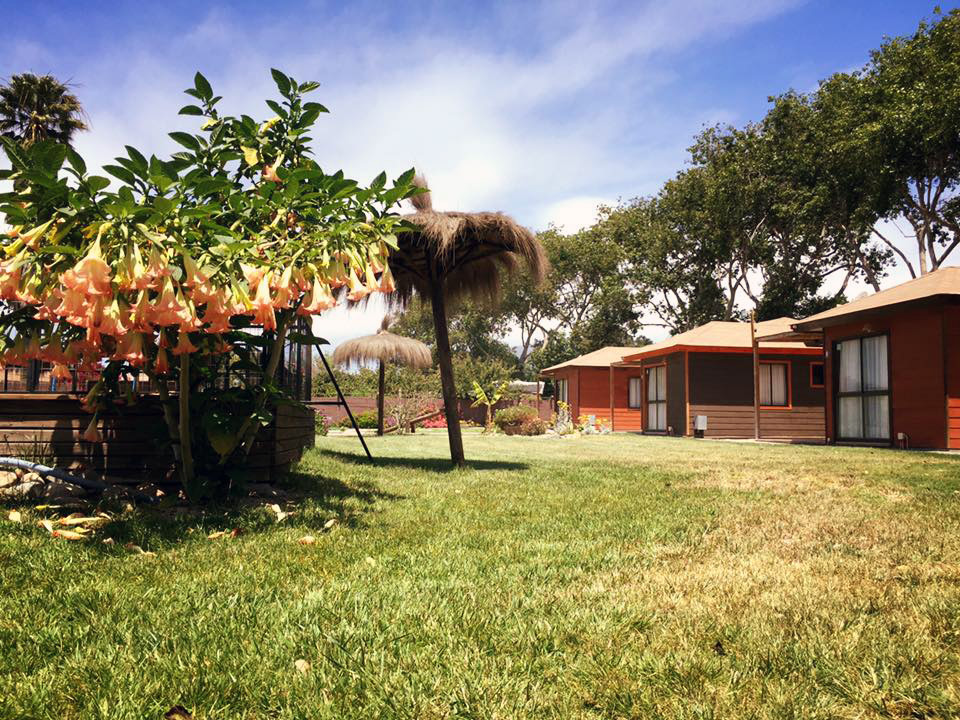 cabanas don gustavo la serena 03