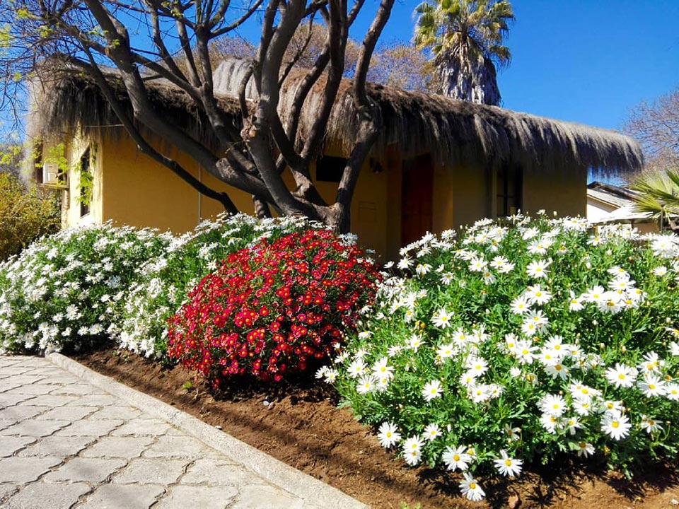 cabanas quilacan la serena 02