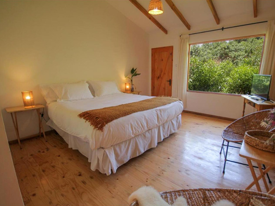 hostal el arbol beach la serena 02