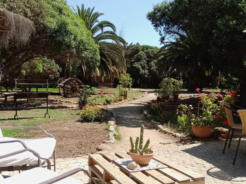 hostal el arbol beach la serena 04